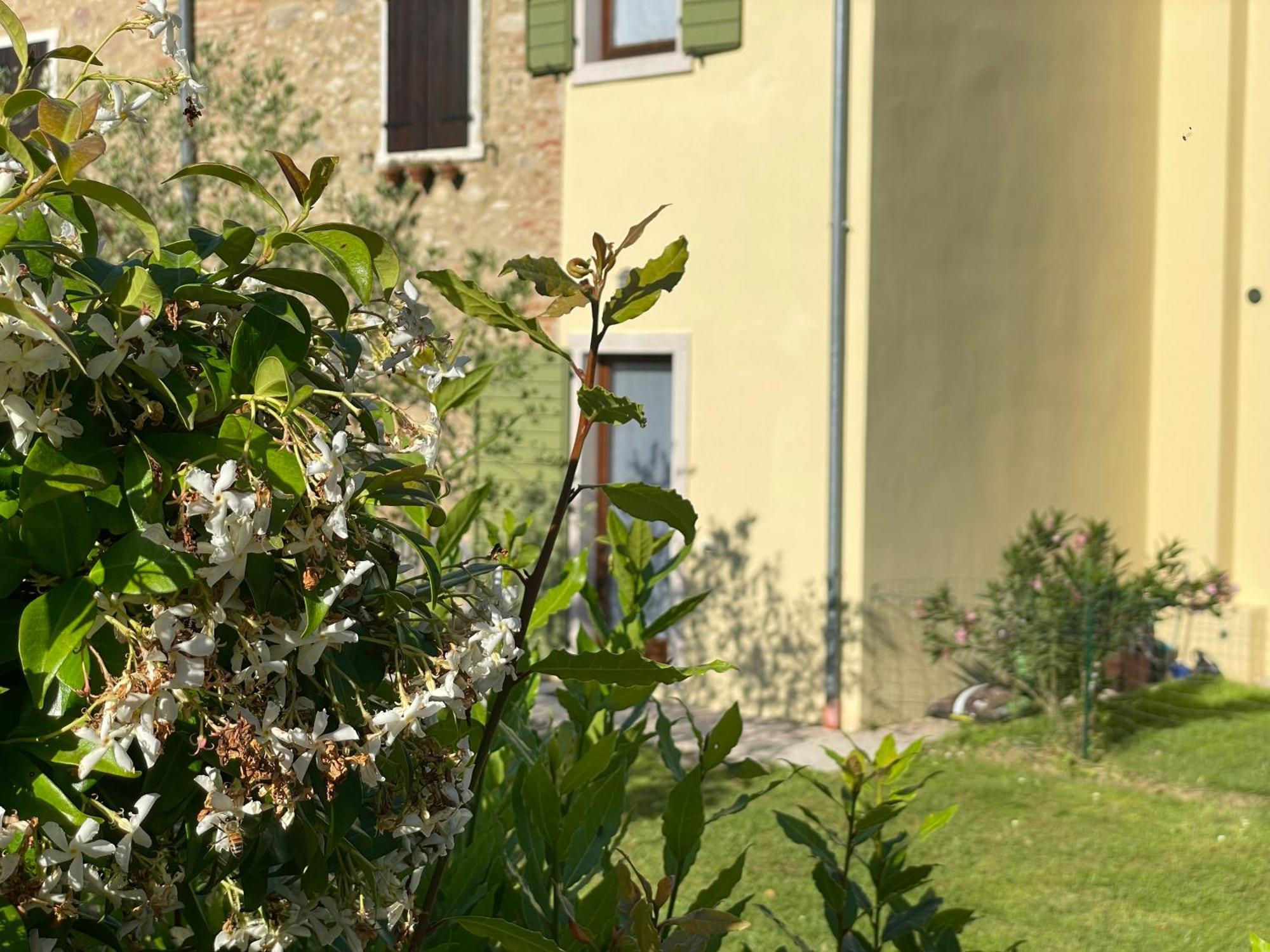 Casa Carlotte - Lago Di Garda Lazise Bagian luar foto