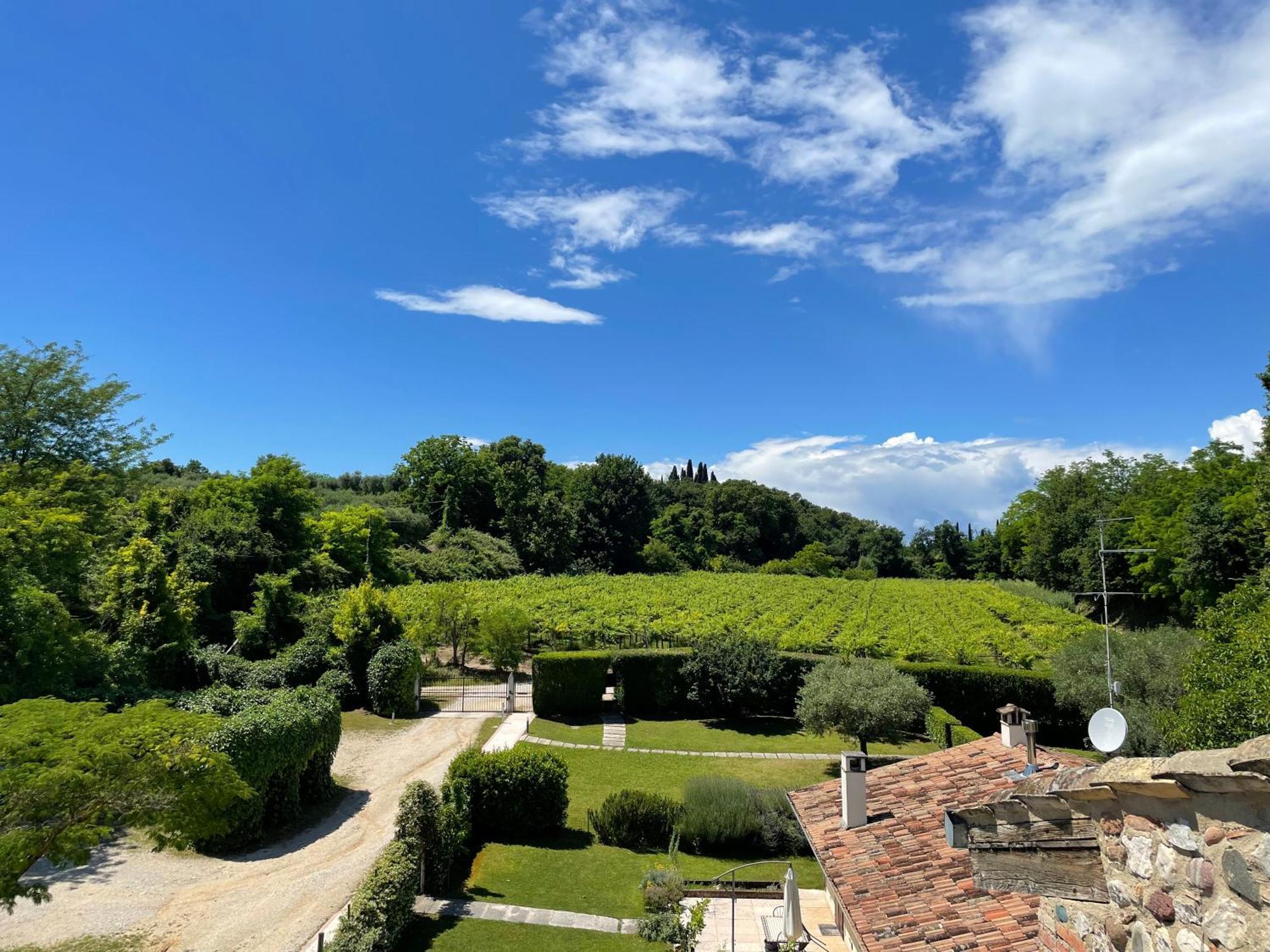 Casa Carlotte - Lago Di Garda Lazise Bagian luar foto
